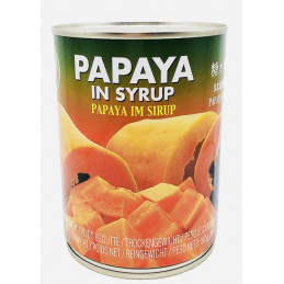 XO Papaya In Syrup, 565g